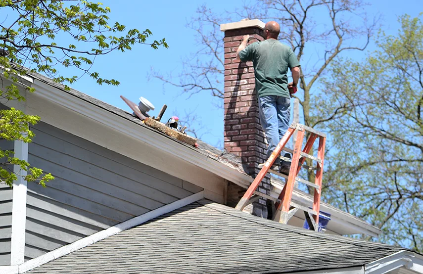 Chimney & Fireplace Inspections Services in Wade Hampton, SC